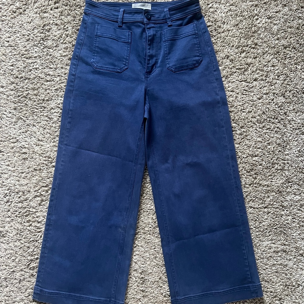 Everlane Blue Flare Wide-Leg Pants